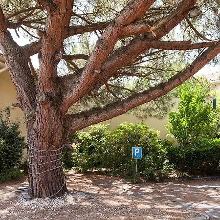 The Originals Bordeaux Porte Du Bassin גרדיניון