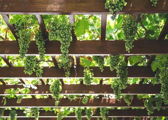 The Originals Bordeaux Porte Du Bassin Hotel